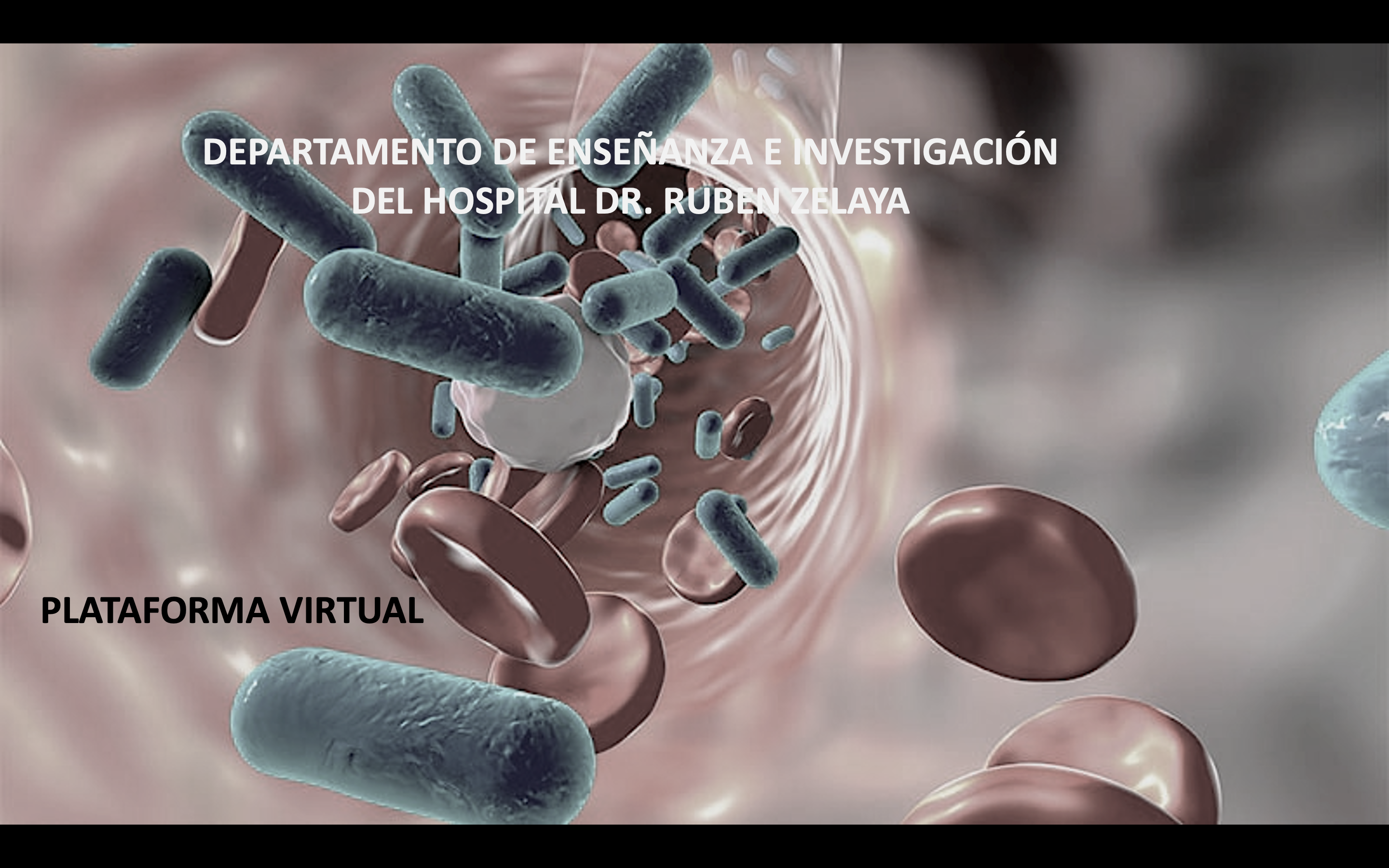PLATAFORMA
